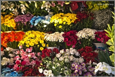 Çiçekçi Numarası ve Çiçekçi Telefonu